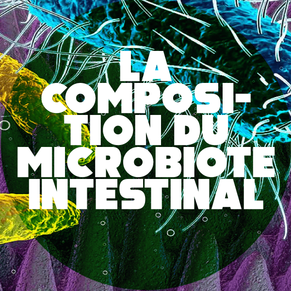 Le microbiote intestinal humain, organe à part entière, héberge des milliards de bactéries Le microbiote intestinal humain, organe à part entière, héberge des milliards de bactéries