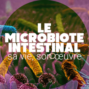 Le microbiote intestinal humain, micro-organismes et espèces de bactéries