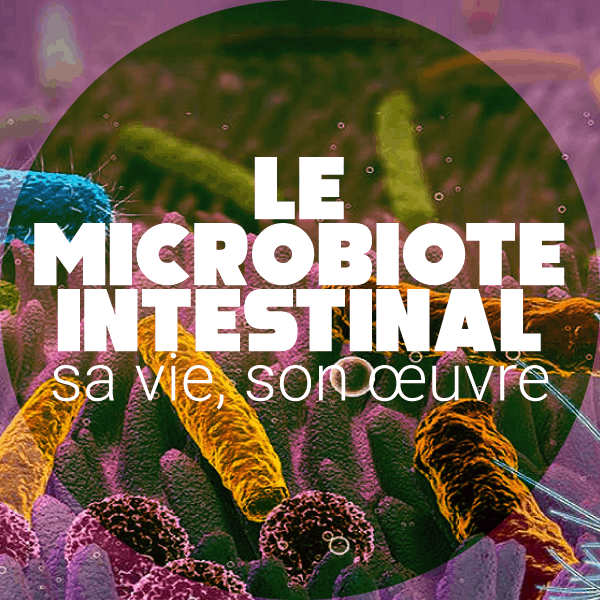 Le microbiote intestinal humain, micro-organismes et espèces de bactéries