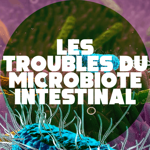 microbiote intestinal : rectocolite hémorragique, maladies inflammatoires microbiote intestinal : rectocolite hémorragique, maladies inflammatoires