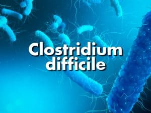 Clostridium difficile