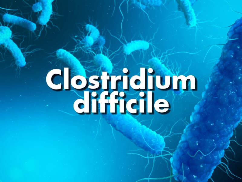 Clostridium difficile