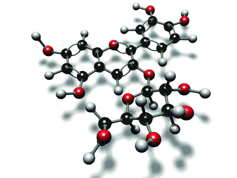 Les polyphénols du café