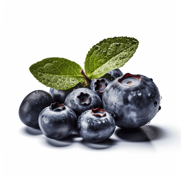 Diététique myrtille